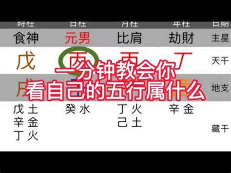 橘色五行屬性|五行屬性：探索命理玄學中的神秘數字與色彩